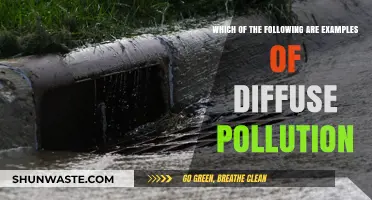 Explore the Many Faces of Diffuse Pollution