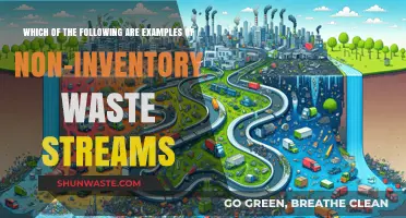 Identifying Non-Inventory Waste Streams: Examples and Key Insights