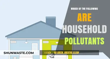Harmful Household Pollutants: What's Lurking in Your Home?