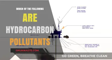 Hydrocarbon Pollutants: Understanding Their Impact and Sources