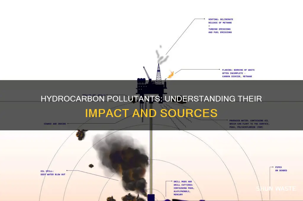 which of the following are hydrocarbon pollutants