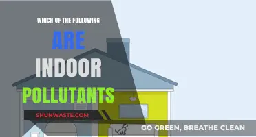 Common Indoor Pollutants and Their Sources