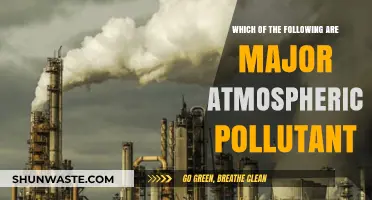 Air Pollutants: Understanding Major Atmospheric Contaminants