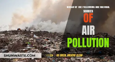 Natural Air Pollutants: Sources and Their Impact