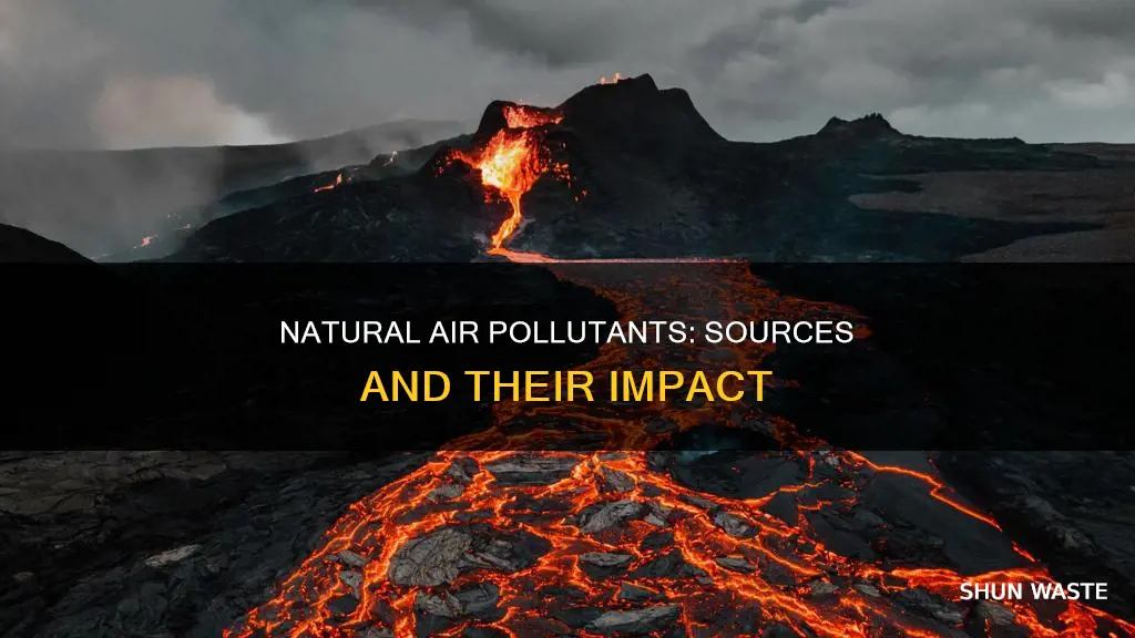 which of the following are natural sources of air pollution