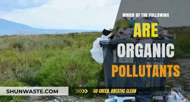 Organic Pollutants: Understanding Their Harmful Nature