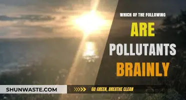 Air, Water, and Soil Pollutants: What Are They?