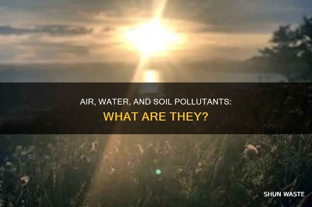 which of the following are pollutants brainly