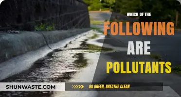 Identifying Common Pollutants: What's Harming Our Environment?