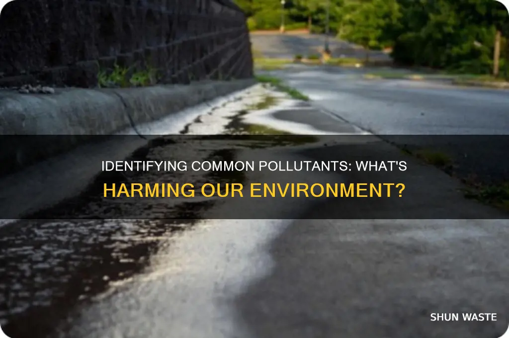 which of the following are pollutants