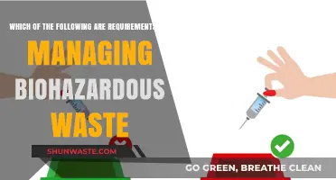 Essential Guidelines for Safely Managing Biohazardous Waste