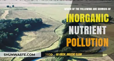 Sources of Inorganic Nutrient Pollution: A Comprehensive Guide