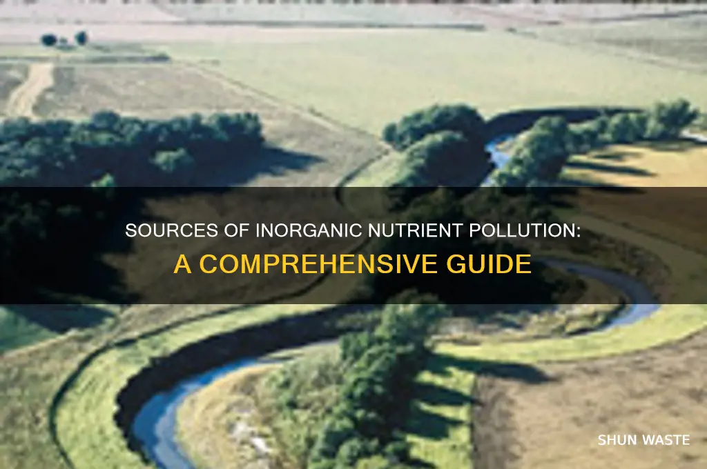 which of the following are sources of inorganic nutrient pollution