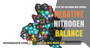 Understanding Negative Nitrogen Balance in the Body