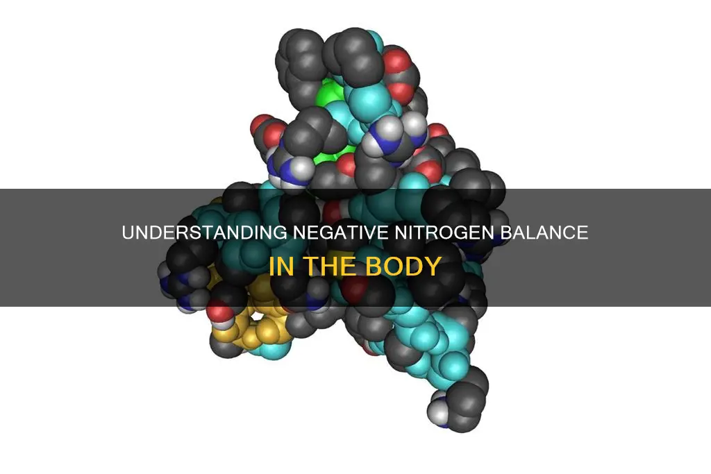 which of the following best defines negative nitrogen balance