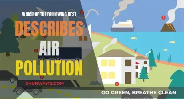 Air Pollution: Understanding the Different Types and Their Impact