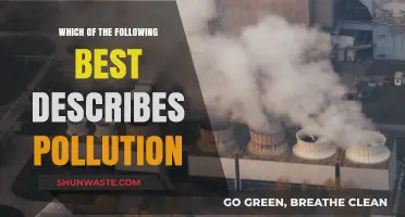 Understanding Pollution: A Comprehensive Overview