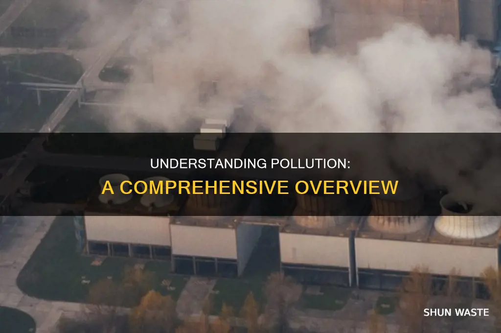 which of the following best describes pollution