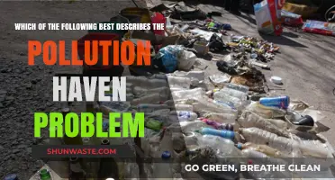 The Pollution Haven Problem: Global Trade's Dark Side