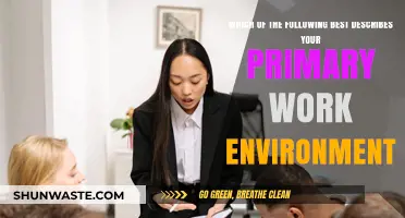 Exploring Primary Work Environments: Where Do You Thrive Most?