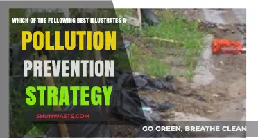 Strategies to Prevent Pollution: Best Practices