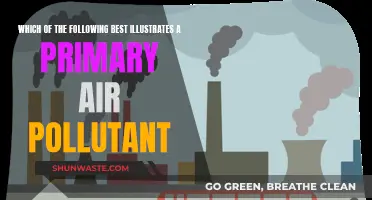 Air Pollutants: Primary Sources and Their Impact