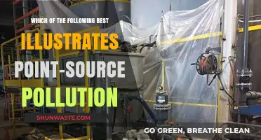 Understanding Point-Source Pollution: What, Why, and How?