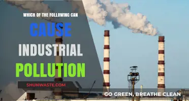 Unveiling Industrial Pollutants: Sources and Solutions