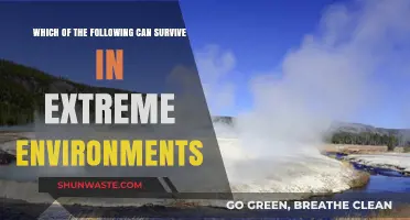 Extreme Survivors: Unbelievable Organisms Thriving in Harshest Conditions