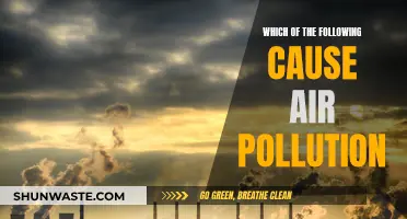 Sources of Air Pollution: A Comprehensive Overview