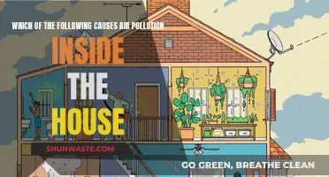 Indoor Air Pollution: Causes and Concerns