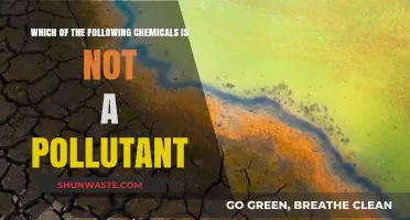Chemicals: Pollutants or Not?