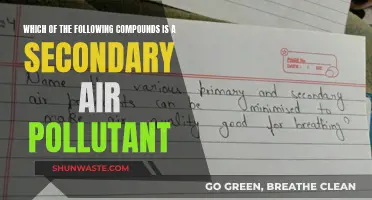 Air Pollutants: Secondary Compounds and Their Sources