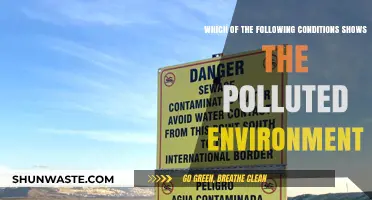 Signs of a Polluted Environment: What to Look For