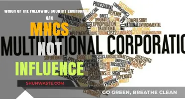 Uninfluenceable Nations: MNCs' Limited Impact on Certain Country Environments