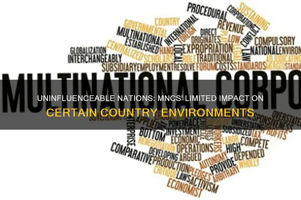 which of the following country environments can mncs not influence
