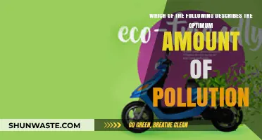 No Amount of Pollution is Optimum
