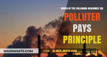 Understanding the Polluter Pays Principle