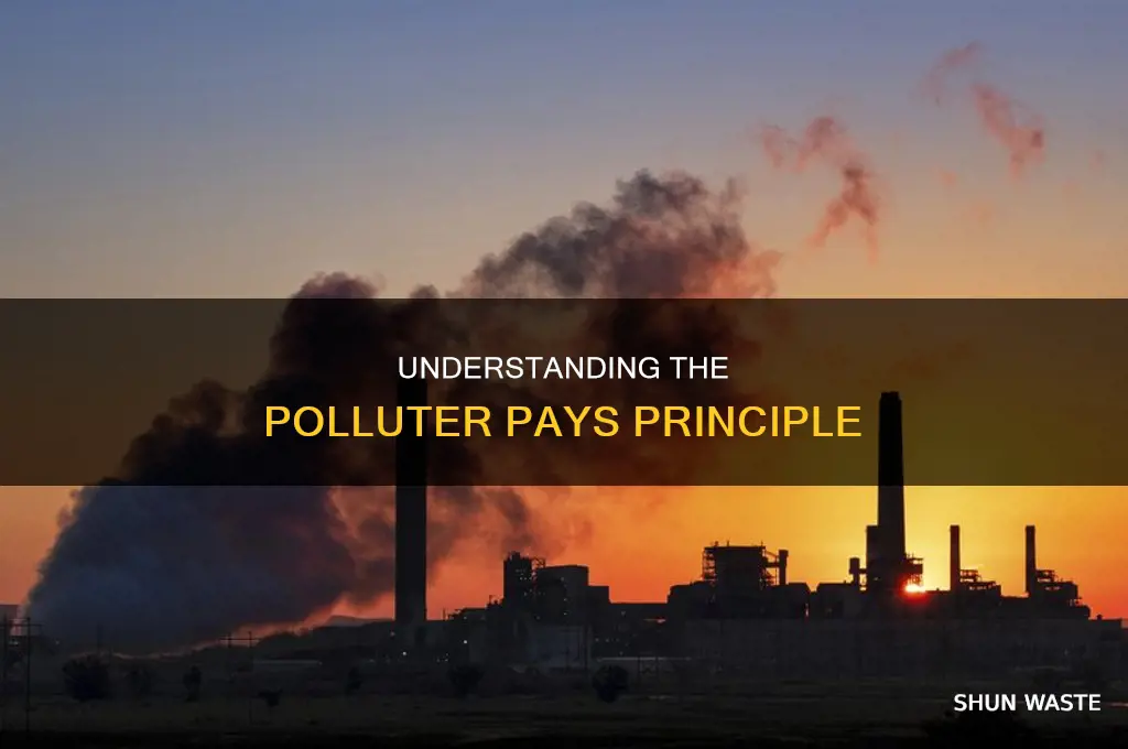 which of the following describes the polluter pays principle