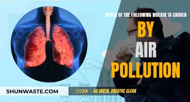 Air Pollution's Dark Side: Diseases and Disorders
