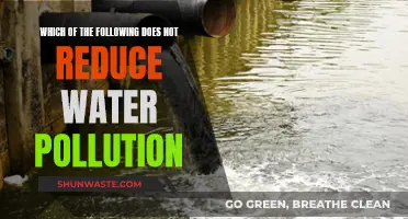 Ways to Stop Water Pollution: What Not to Do