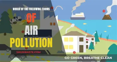 Air Pollution: Understanding Different Forms and Their Impact