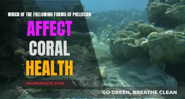 Pollution's Impact on Coral Health: Understanding the Threats