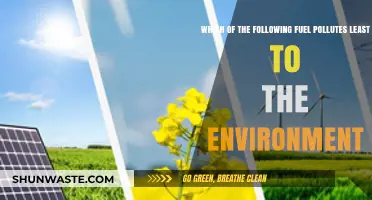 Greenest Fuels: Which Energy Sources Pollute the Least?