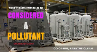 Air Quality: Understanding Non-Polluting Gases