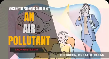Air Pollutants: What Gases Are Harmful?