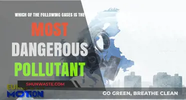 Deadly Pollutants: Which Gases Are Most Harmful?