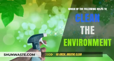Eco-Friendly Practices: Simple Ways to Clean and Protect Our Environment