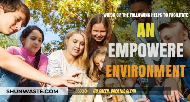 Empowering Environments: Key Strategies for Fostering Growth and Autonomy