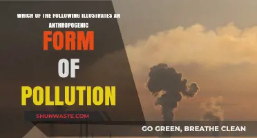 Human-Caused Pollution: Understanding Anthropogenic Impacts